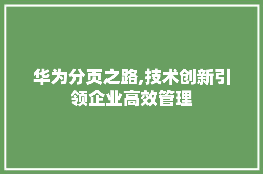 华为分页之路,技术创新引领企业高效管理