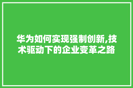 华为如何实现强制创新,技术驱动下的企业变革之路