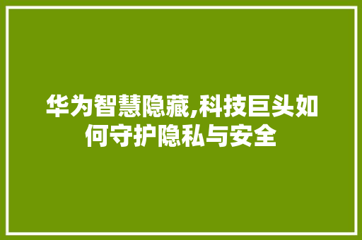 华为智慧隐藏,科技巨头如何守护隐私与安全
