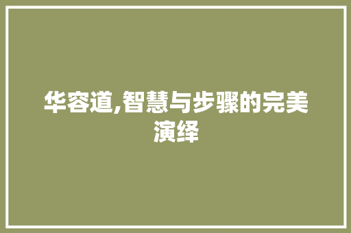 华容道,智慧与步骤的完美演绎