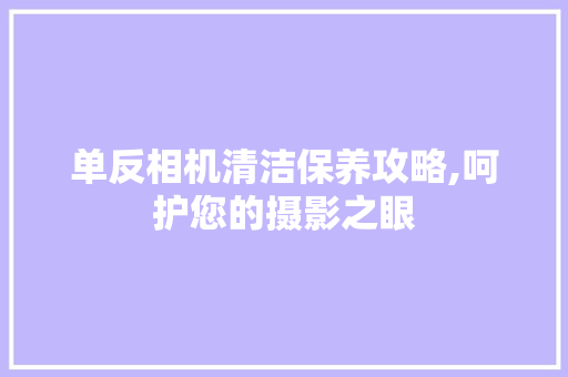 单反相机清洁保养攻略,呵护您的摄影之眼 建站教程
