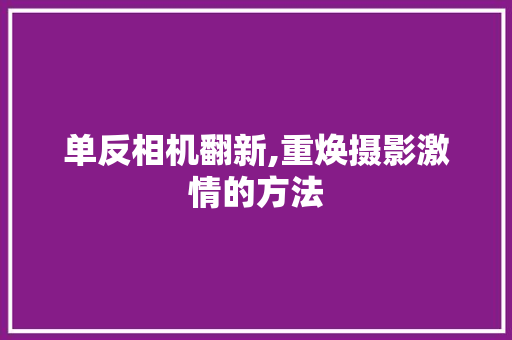 单反相机翻新,重焕摄影激情的方法 Web前端