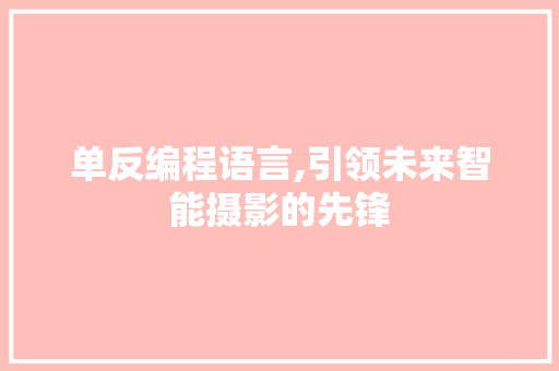 单反编程语言,引领未来智能摄影的先锋 WordPress教程