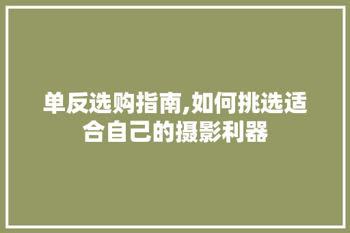 单反选购指南,如何挑选适合自己的摄影利器 建站教程