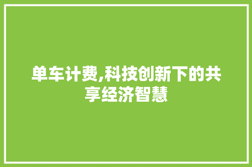单车计费,科技创新下的共享经济智慧