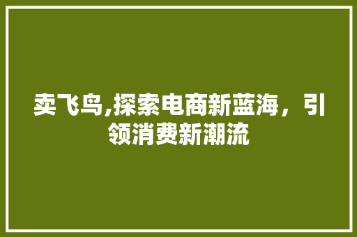 卖飞鸟,探索电商新蓝海，引领消费新潮流