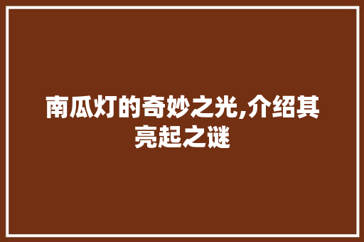 南瓜灯的奇妙之光,介绍其亮起之谜 建站教程