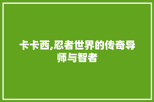 卡卡西,忍者世界的传奇导师与智者 Web前端