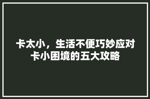 卡太小，生活不便巧妙应对卡小困境的五大攻略