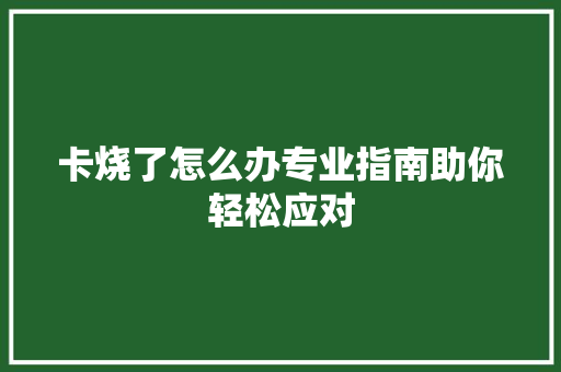 卡烧了怎么办专业指南助你轻松应对