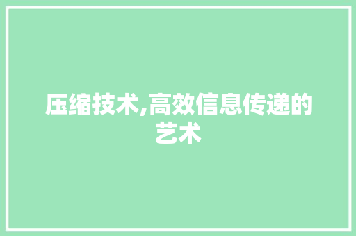压缩技术,高效信息传递的艺术