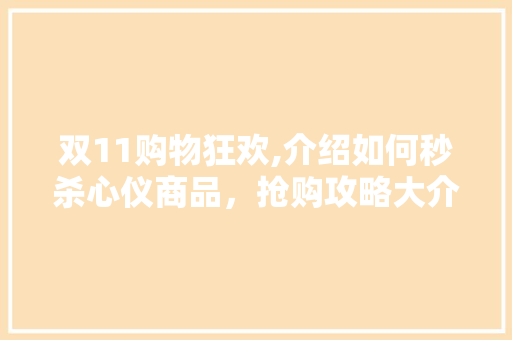 双11购物狂欢,介绍如何秒杀心仪商品，抢购攻略大介绍！