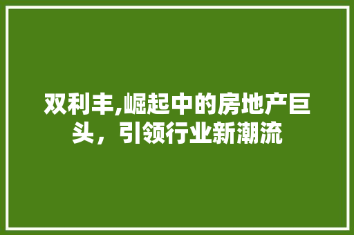 双利丰,崛起中的房地产巨头，引领行业新潮流