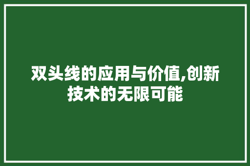 双头线的应用与价值,创新技术的无限可能
