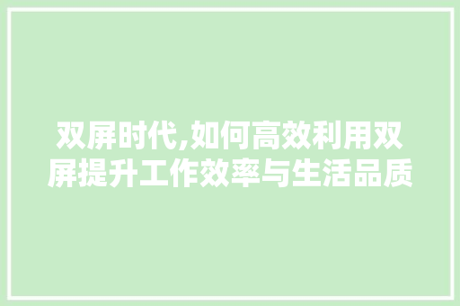 双屏时代,如何高效利用双屏提升工作效率与生活品质