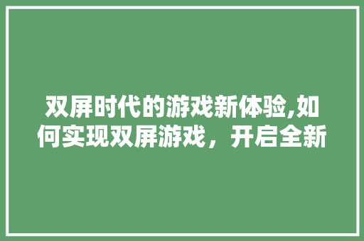 双屏时代的游戏新体验,如何实现双屏游戏，开启全新视角