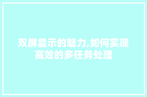 双屏显示的魅力,如何实现高效的多任务处理