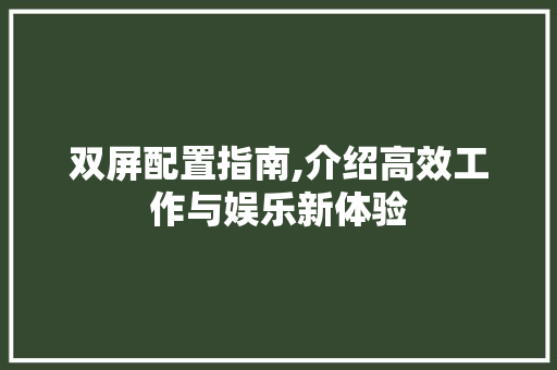 双屏配置指南,介绍高效工作与娱乐新体验