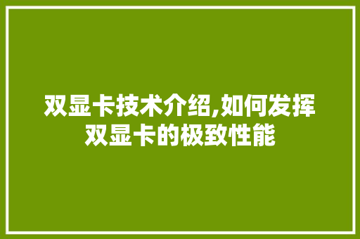 双显卡技术介绍,如何发挥双显卡的极致性能