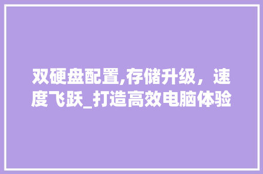 双硬盘配置,存储升级，速度飞跃_打造高效电脑体验
