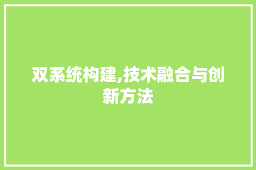 双系统构建,技术融合与创新方法