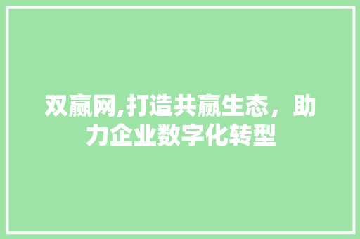 双赢网,打造共赢生态，助力企业数字化转型