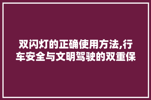 双闪灯的正确使用方法,行车安全与文明驾驶的双重保障