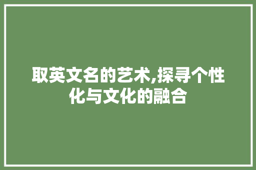 取英文名的艺术,探寻个性化与文化的融合