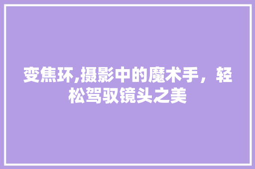 变焦环,摄影中的魔术手，轻松驾驭镜头之美 服务器/数据库