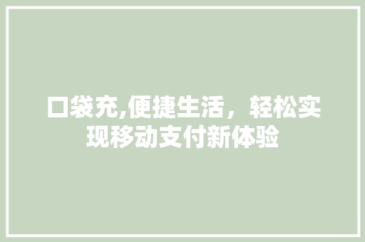 口袋充,便捷生活，轻松实现移动支付新体验