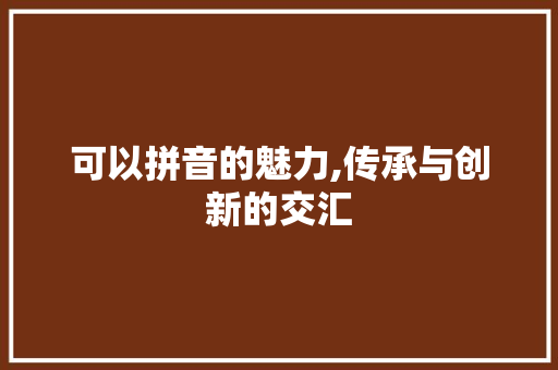 可以拼音的魅力,传承与创新的交汇