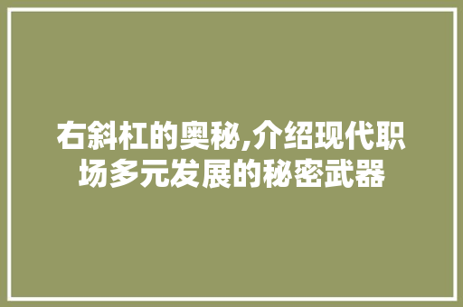 右斜杠的奥秘,介绍现代职场多元发展的秘密武器 WordPress教程