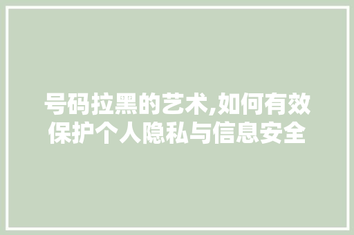 号码拉黑的艺术,如何有效保护个人隐私与信息安全 WordPress教程