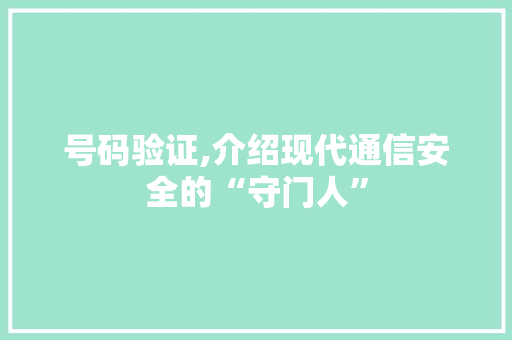 号码验证,介绍现代通信安全的“守门人” 建站教程