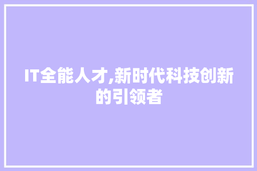 IT全能人才,新时代科技创新的引领者 SEO教程