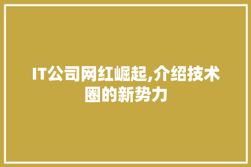 IT公司网红崛起,介绍技术圈的新势力
