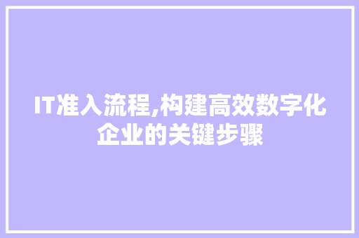 IT准入流程,构建高效数字化企业的关键步骤 WordPress教程