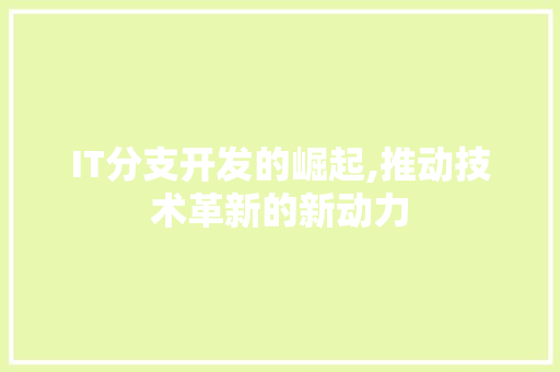 IT分支开发的崛起,推动技术革新的新动力