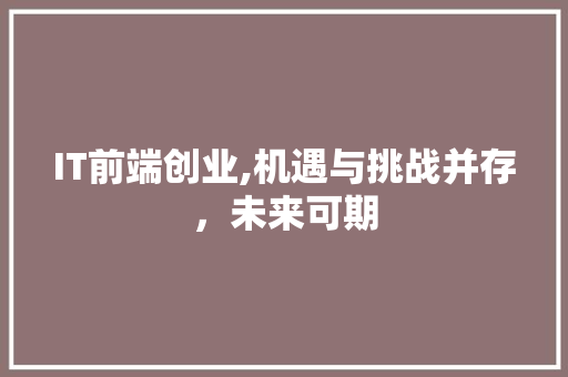 IT前端创业,机遇与挑战并存，未来可期 友链在线