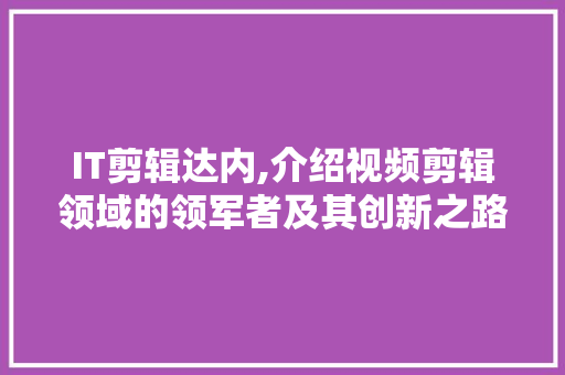 IT剪辑达内,介绍视频剪辑领域的领军者及其创新之路 WordPress教程