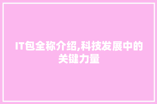 IT包全称介绍,科技发展中的关键力量