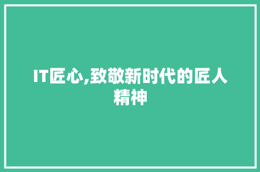 IT匠心,致敬新时代的匠人精神 WordPress教程