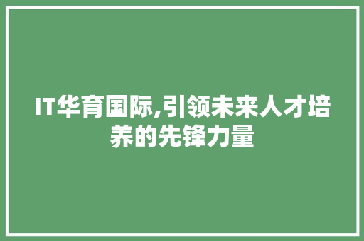 IT华育国际,引领未来人才培养的先锋力量