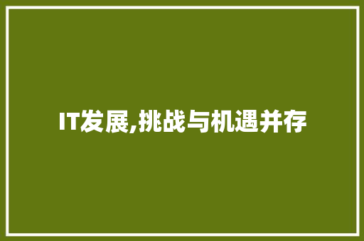 IT发展,挑战与机遇并存 建站教程