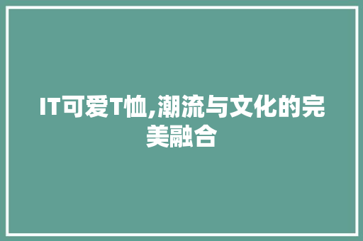 IT可爱T恤,潮流与文化的完美融合 Web前端