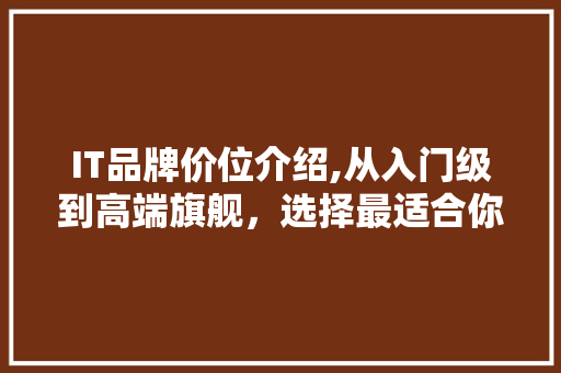 IT品牌价位介绍,从入门级到高端旗舰，选择最适合你的智能生活 WordPress教程