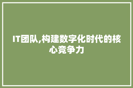 IT团队,构建数字化时代的核心竞争力