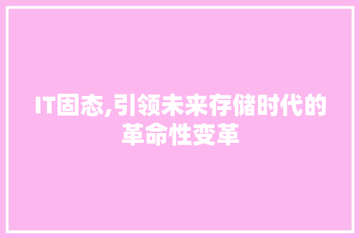 IT固态,引领未来存储时代的革命性变革 友链在线