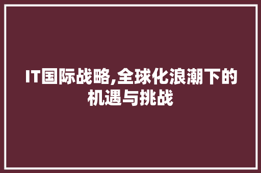 IT国际战略,全球化浪潮下的机遇与挑战
