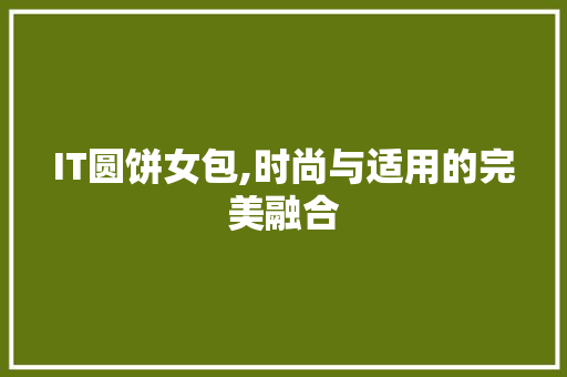 IT圆饼女包,时尚与适用的完美融合